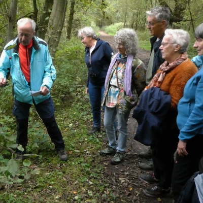 Herfstwandeling met heel veel paddenstoelen