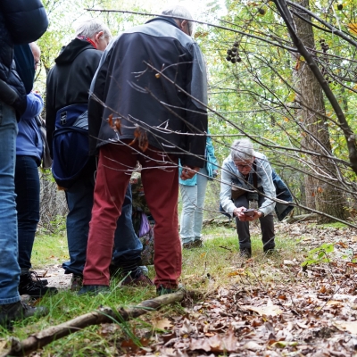 herfstwandeling2024 - 