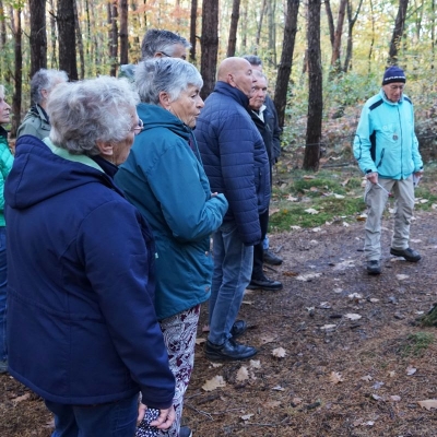 2025-10-23herfstwandeling - 