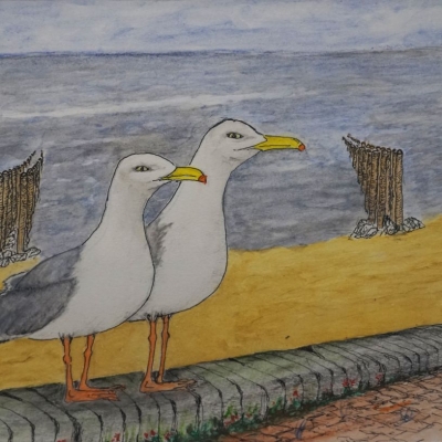 Expositie SVR-schilderclubs in de Oase