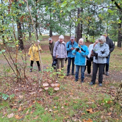 20261022herfstwandeling - 