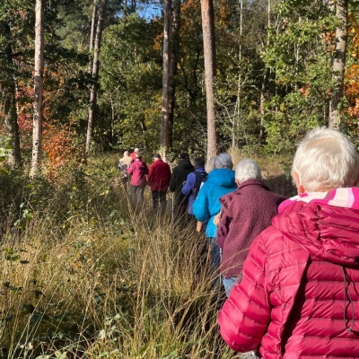 20261029nordicwalking - 